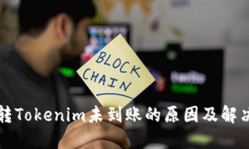 货币转Tokenim未到账的原因及解决方案