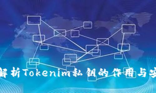 深入解析Tokenim私钥的作用与安全性